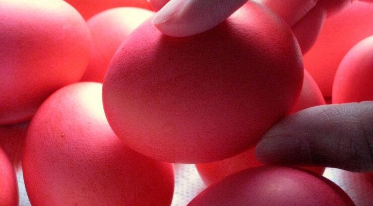 Πασχαλινή Περιηγητική Εκδρομή στην Κρήτη