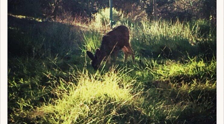Οι παράξενοι επισκέπτες στο σπίτι της Jessica Biel και του Justin Timberlake