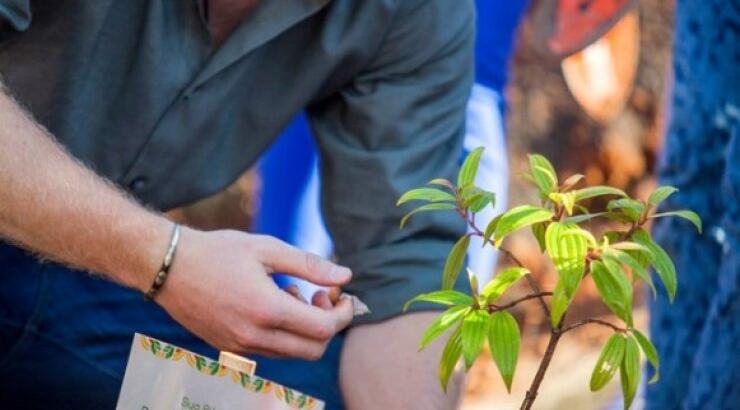 Τα δάκρυα του Πρίγκιπα Χάρι