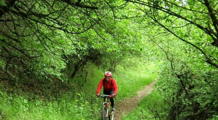 Ποδηλατική βόλτα... η πρώτη για το νέο χρόνο!