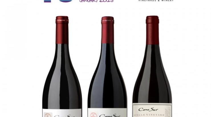 Οινοποιείο Cono Sur: το καλύτερο «Pinot Noir» και «Syrah» στη Χιλή