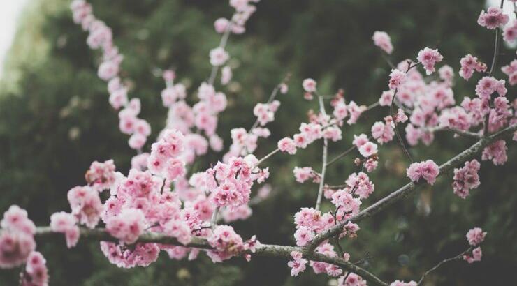 Τι προβλέπουν τα ζώδια για τη Δευτέρα 11 Μαρτίου 2019;