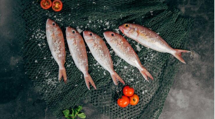 Χάστε 5 κιλά με την δίαιτα του ψαριού