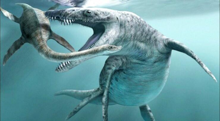 Οι "Δεινόσαυροι του Ωκεανού" έρχονται στην Κύπρο!