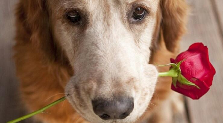  Πού βρίσκεται τελικά η ευτυχία; 