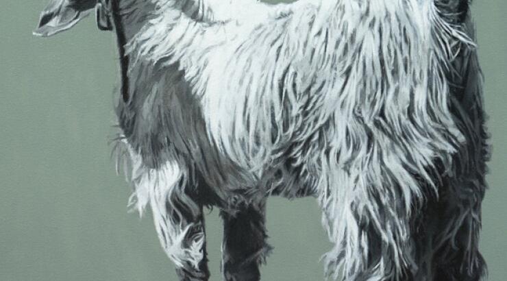 Μια "Γυάλινη Μάντρα"