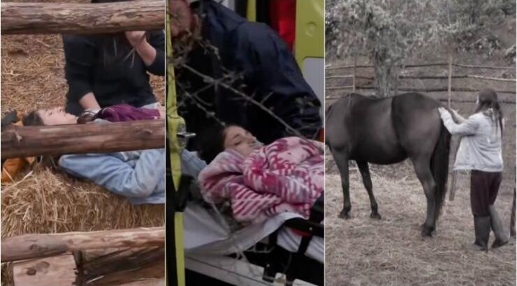 Σοβαρό ατύχημα με την Κύπρια παίκτρια στη "Φάρμα": Την κλώτσησε άλογο - Μεταφέρθηκε με ασθενοφόρο