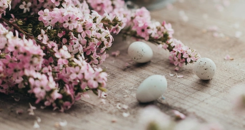 Αυτά είναι  τα 9 λουλούδια του Πάσχα