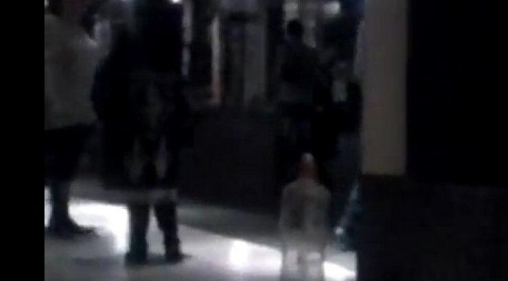 Έφοδος της Ελένης Λουκά στην παράσταση "Δαίμονες"