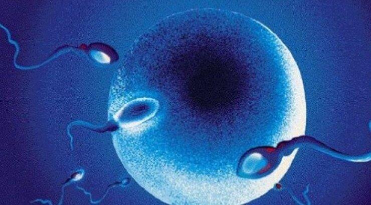 Νέα μέθοδος για το «ορμονικό ξύπνημα» στην εξωσωματική 