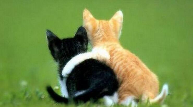 9 τρόποι για να θέλουν όλοι να είναι φίλοι σου