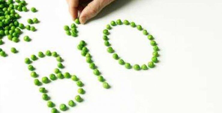 Αγρόκτημα Α. Βουνός