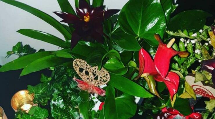 Τα υπέροχα λουλούδια που χάρισε επώνυμος Κύπριος στον σύντροφό του για την επέτειό τους!