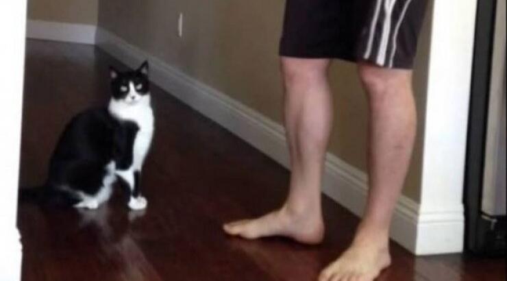 Η καλύτερη αγκαλιά που έγινε ποτέ από γάτα! [βίντεο]