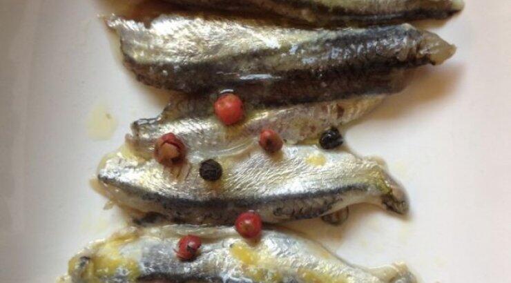 Γάβρος μαρινάτος