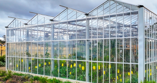 Ένα μικροσκοπικό σπίτι φτιαγμένο μέσα σε… θερμοκήπιο