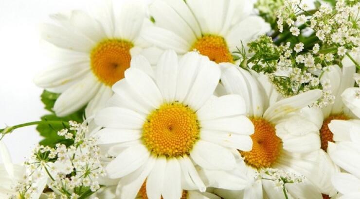 Μάσκα προσώπου με χαμομήλι για λαμπερή επιδερμίδα!