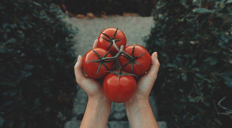 Top 10 αντιοξειδωτικές τροφές!