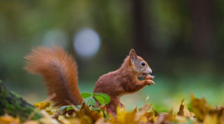 Τι προβλέπουν τα ζώδια για την Τετάρτη 20 Νοεμβρίου 2019;