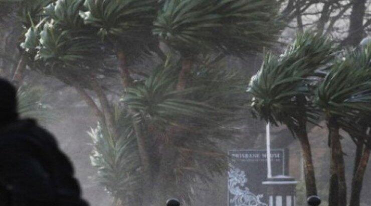 Οι ισχυροί άνεμοι εκρίζωσαν δέντρα - Επικίνδυνοι δρόμοι 