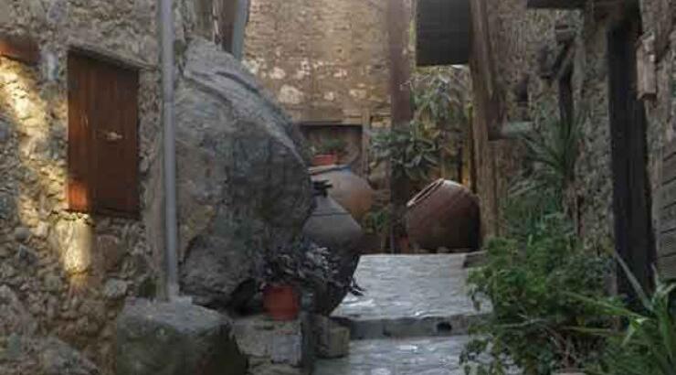 Παραδοσιακό καρναβάλι στην Κακοπετριά