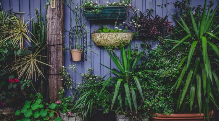 Ένα βίντεο που θα σε βοηθήσει να κάνεις τον πιο μαγευτικό κήπο ή μπαλκόνι