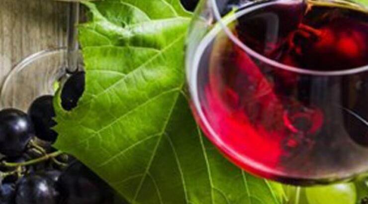 Γίνε ειδικός στο κρασί διασκεδάζοντας