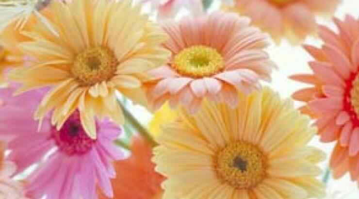 Τα λουλούδια του γάμου