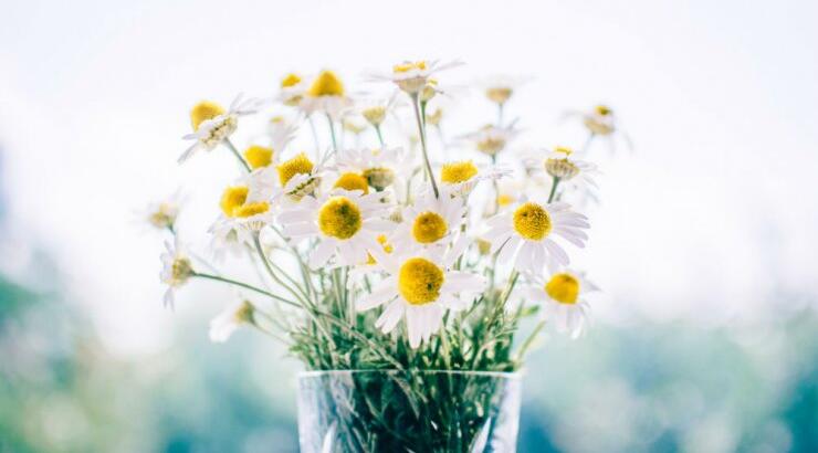 Τι προβλέπουν τα ζώδια για την Κυριακή 21 Απριλίου 2019;