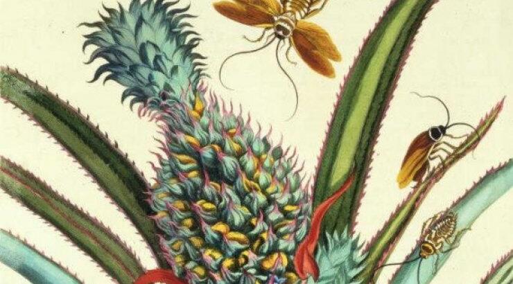 Ποια τιμά σήμερα η Google στο Doodle της