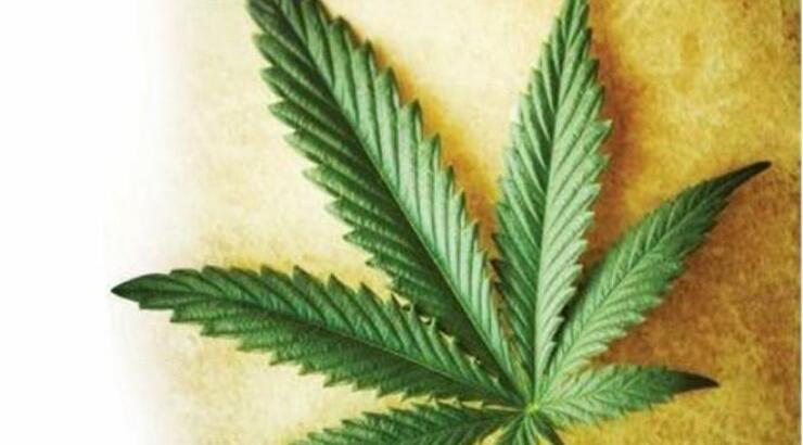 Οι «New York Times» λένε «ναι» στη μαριχουάνα