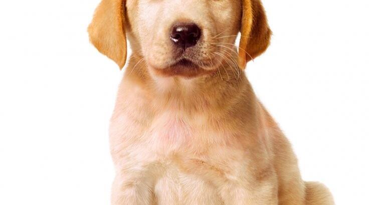 6 ταινίες για σπαρακτικό κλάμα 