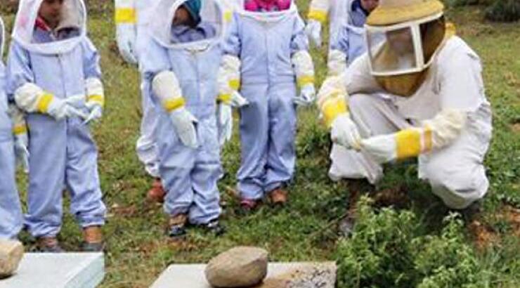 Τι θα έλεγες για 