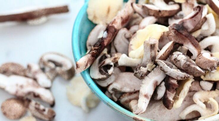 Φέτος θα πας στη Γιορτή του Μανιταριού