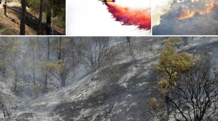 Υπό έλεγχο η Σολέα - Επαγρύπνηση για αναζωπυρώσεις