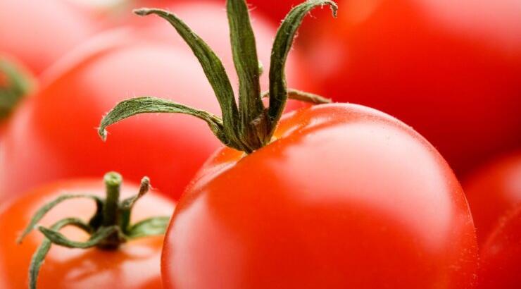 4 τροφές για μυαλό που παίρνει πολλές στροφές!