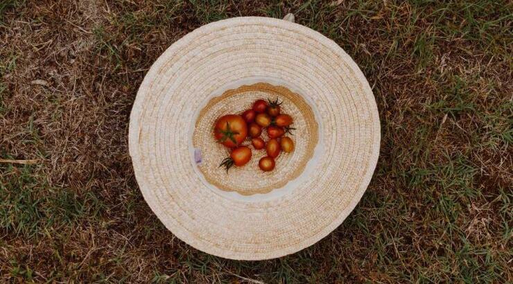 Η μεγάλη διατροφική αξία της ντομάτας