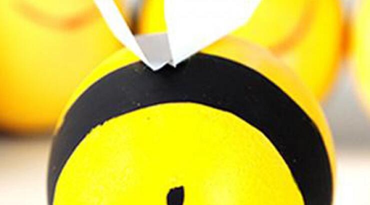 Στο 1ο Φεστιβάλ Γνώσης, τα παιδιά θα διασκεδάσουν