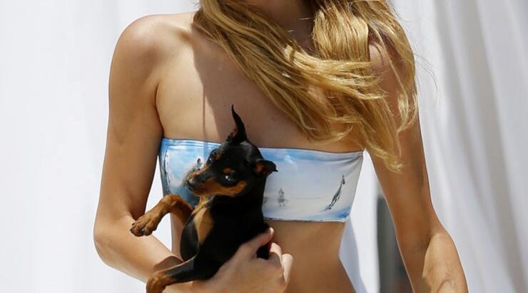 Η Paris Hilton επιστρέφει