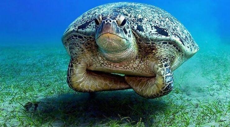 Παγκόσμια Ημέρα Περιβάλλοντος σήμερα