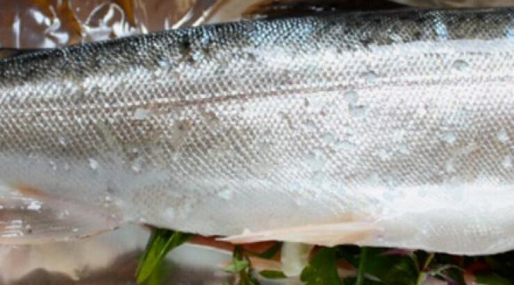 Πέστροφα σε αλουμινόχαρτο με πιπεριές