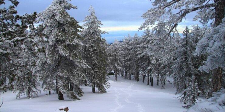 Στο ψυγείο η Κύπρος-Άνοδος θερμοκρασίας το επόμενο τριήμερο