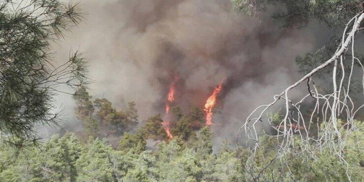 Απώλεια χρόνου προκύπτει από την Έκθεση για την πυρκαγιά 