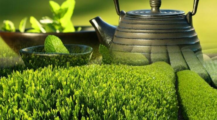 Πράσινο τσάι: Ο καλύτερος σύμμαχος στη δίαιτα σας