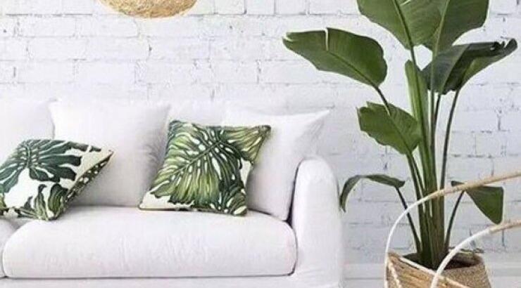 Το modern tropical είναι tropi-cool! Έτσι δεν είναι;