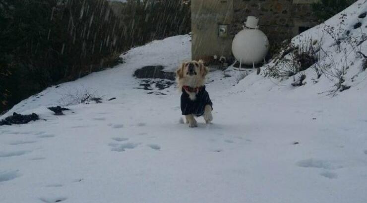 Αυτή είναι η πιο όμορφη φωτογραφία που είδαμε στους λογαριασμούς των social media επώνυμων Κυπρίων σήμερα!