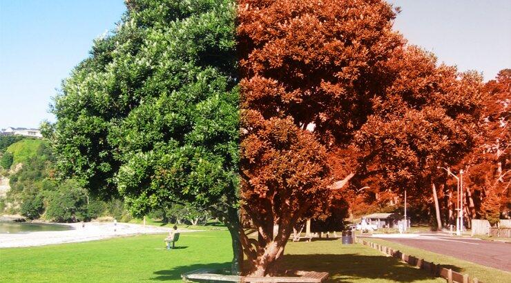 Πες μου ποια εποχή γεννήθηκες να σου πω τι τύπος είσαι