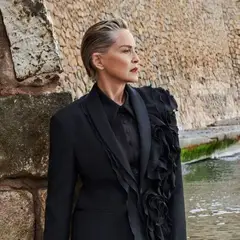 Sharon Stone: Το εγκεφαλικό που της κόστισε την καριέρα και τα 18 εκατ. δολάρια που εξαφανίστηκαν