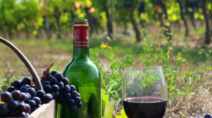 Πάμε διήμερη εκδρομή γευσιγνωσίας στην Πάφο