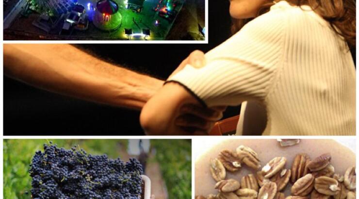 Top 13 πράγματα για να κάνεις τον Νοέμβριο